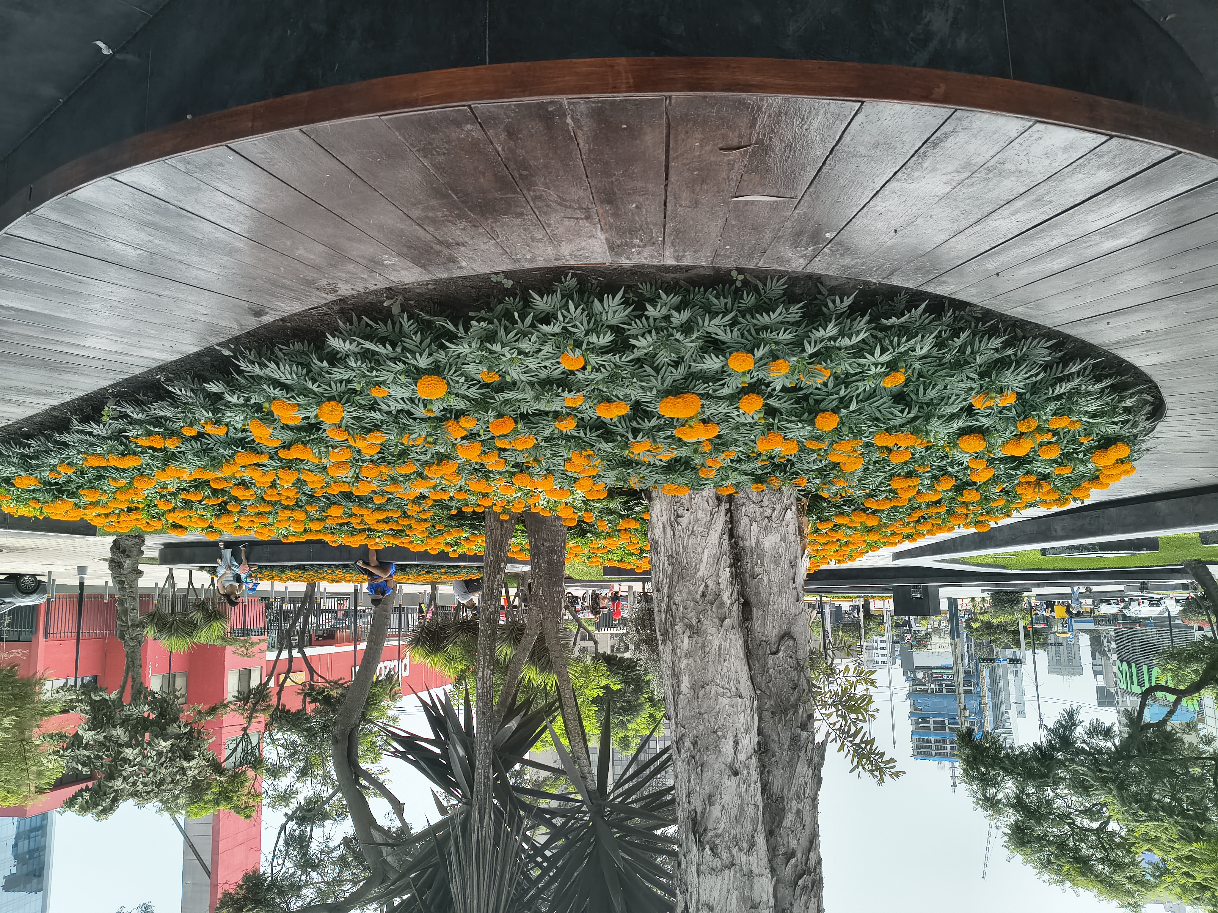 Parques y Jardines